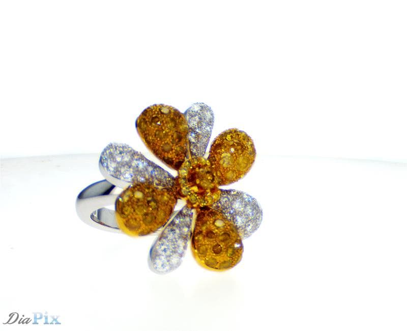 Ring 18ky&w gold s/w white &Fancy Diamond